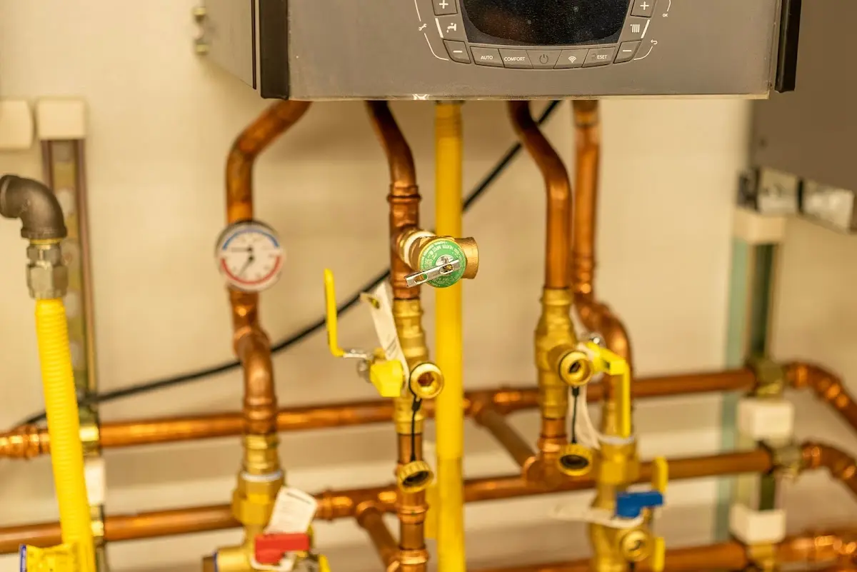 Licensed technician providing Emergency Plumbing for a homeowner in Ellery